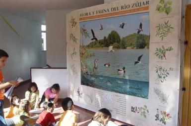 Educación ambiental