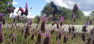 Rutas en bicicleta naturaleza