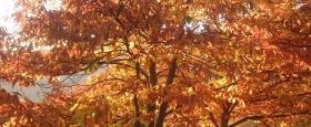 Rutas otoño